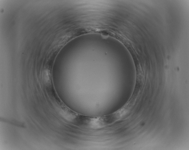 X0000075900130200609151421