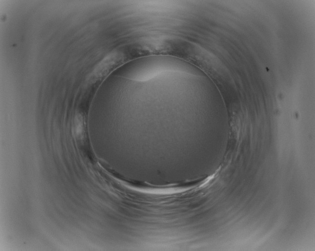 X0000075900132200609151421