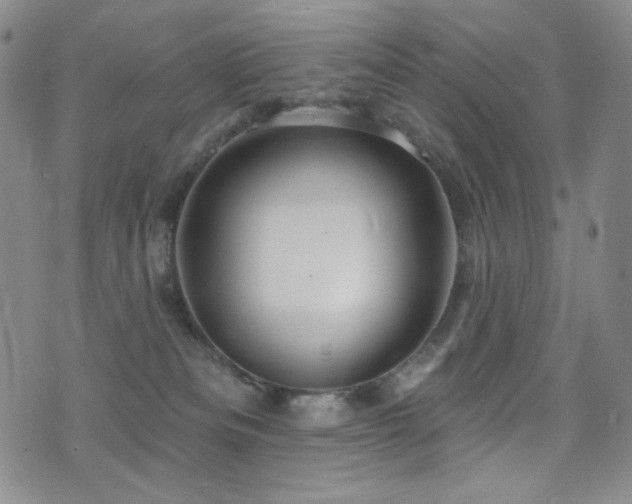 X0000075900133200609151421