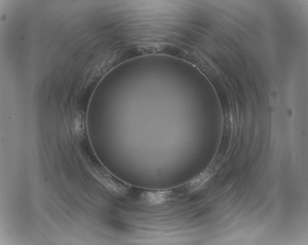 X0000075900134200609151421