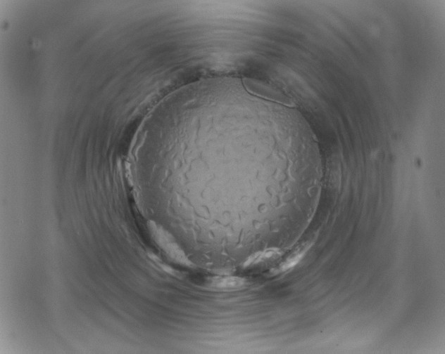 X0000075900135200609151421