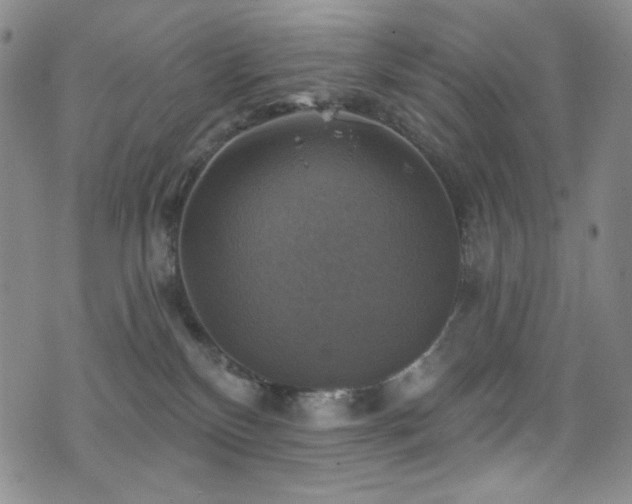 X0000075900136200609151421