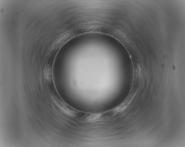 X0000075900138200609151421