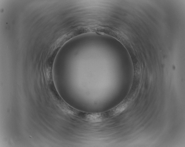 X0000075900139200609151421