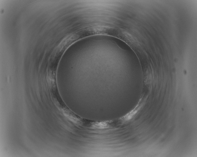 X0000075900140200609151421