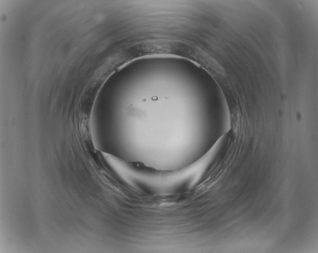 X0000075900141200609151421