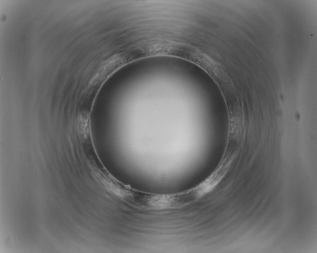 X0000075900142200609151421