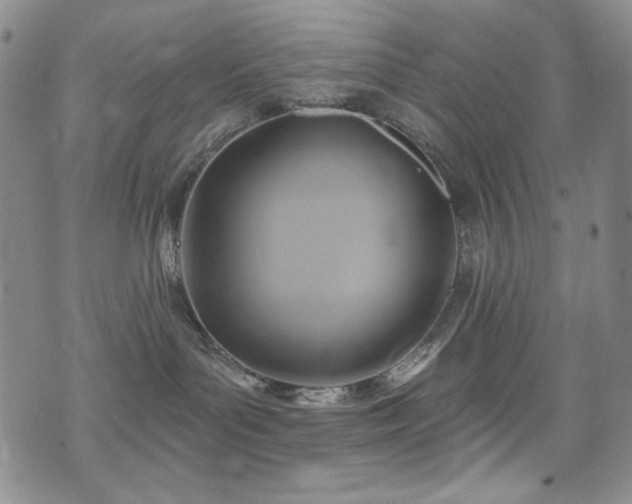 X0000075900143200609151421