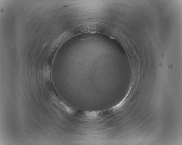 X0000075900144200609151421