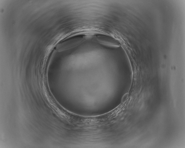 X0000075900145200609151420