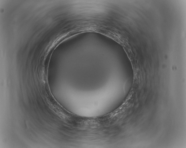 X0000075900146200609151420