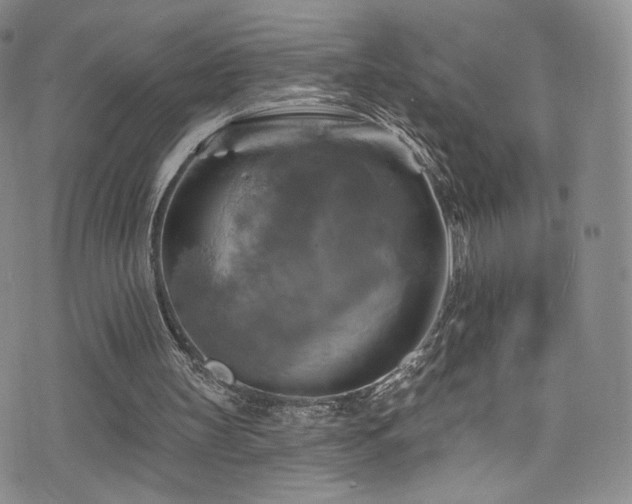 X0000075900147200609151420