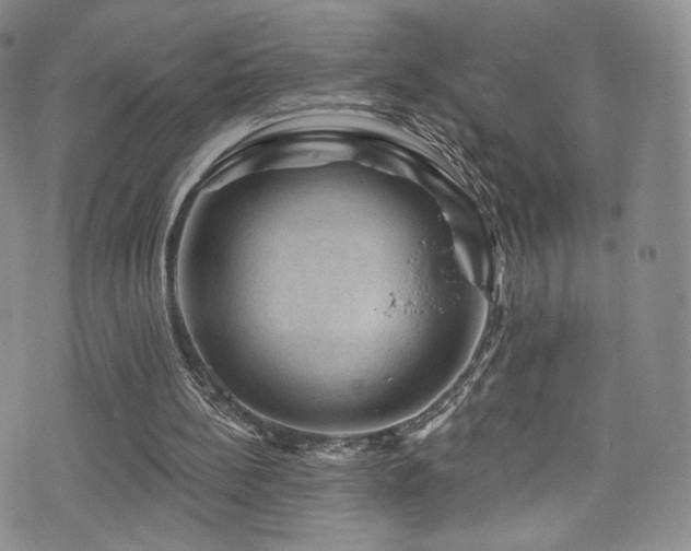 X0000075900148200609151420