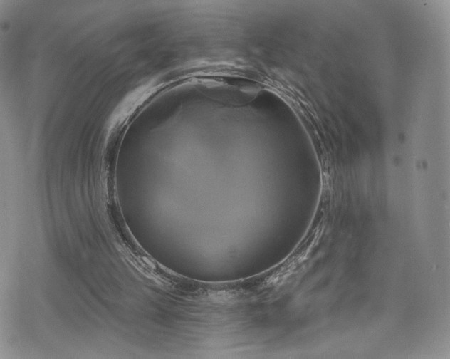 X0000075900149200609151420