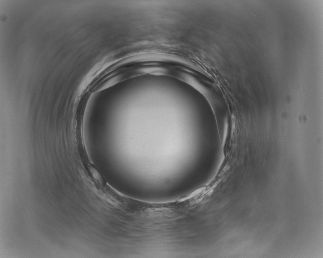 X0000075900150200609151420