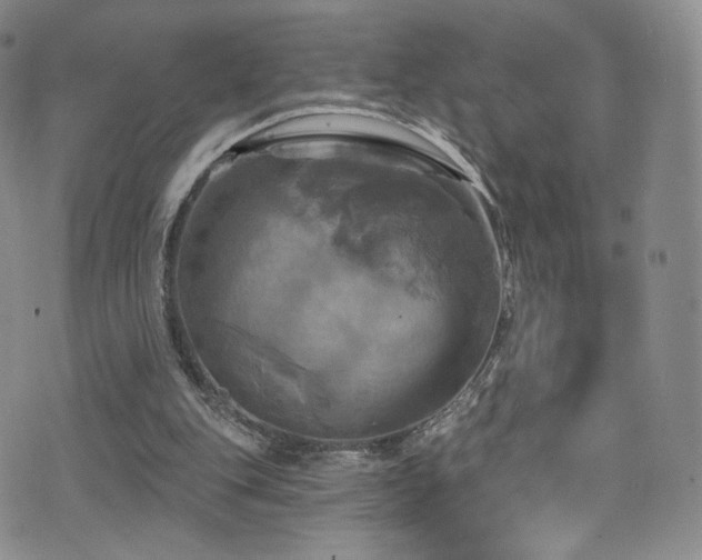 X0000075900151200609151420