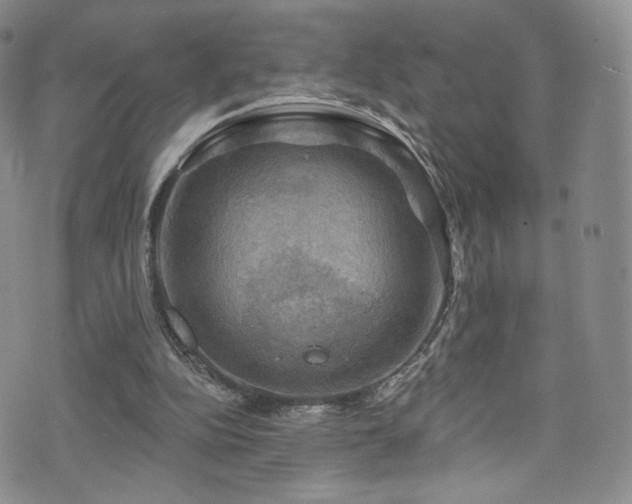 X0000075900152200609151420