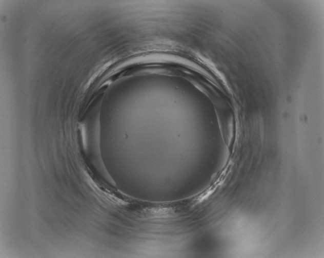 X0000075900154200609151420