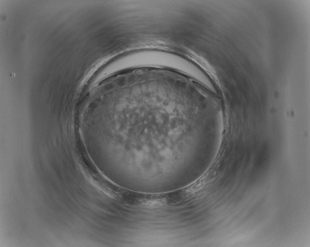 X0000075900155200609151420