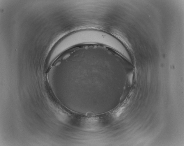 X0000075900156200609151420