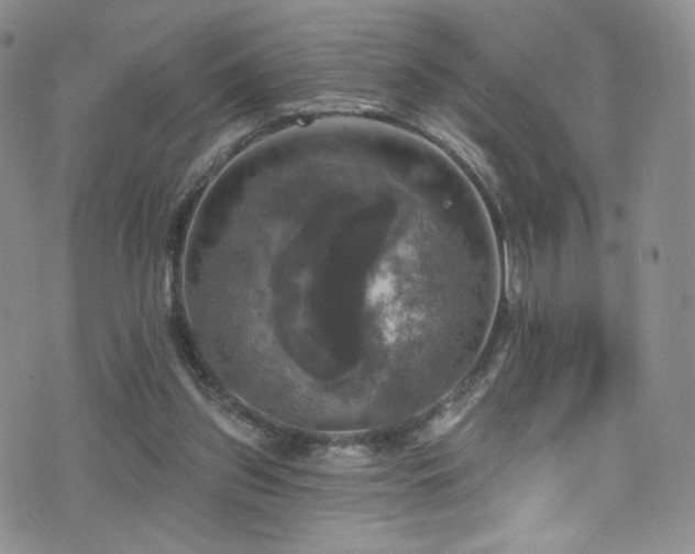 X0000075900157200609151420