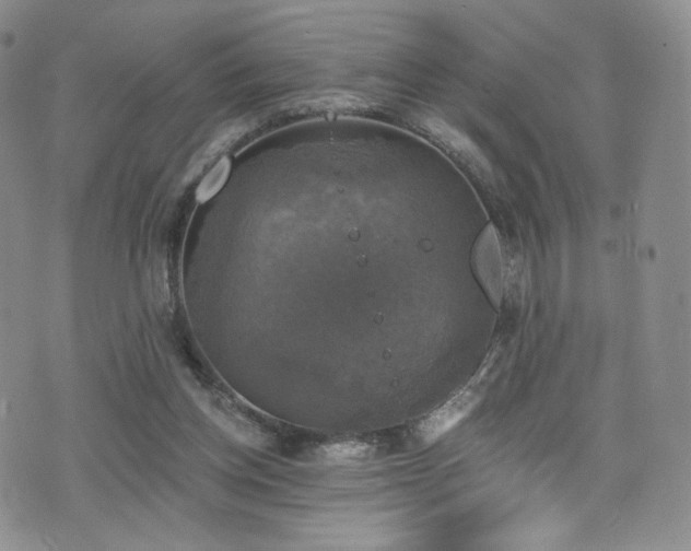 X0000075900158200609151420