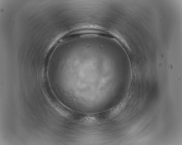 X0000075900159200609151420