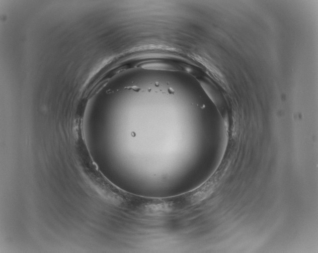 X0000075900160200609151420