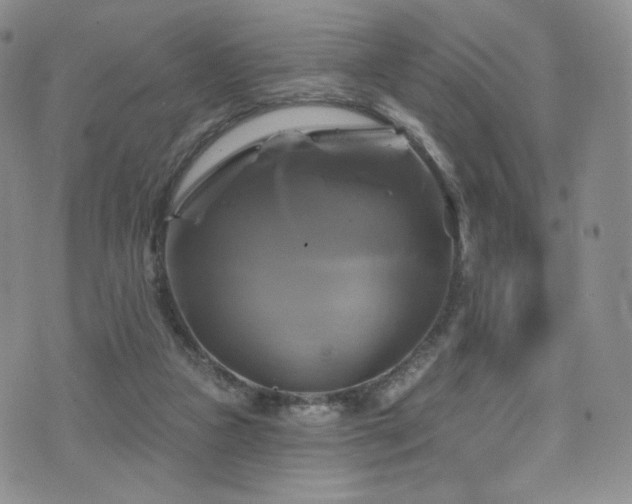 X0000075900161200609151420