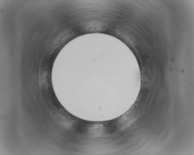 X0000075900162200609151420