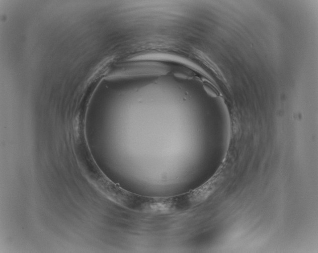 X0000075900163200609151420