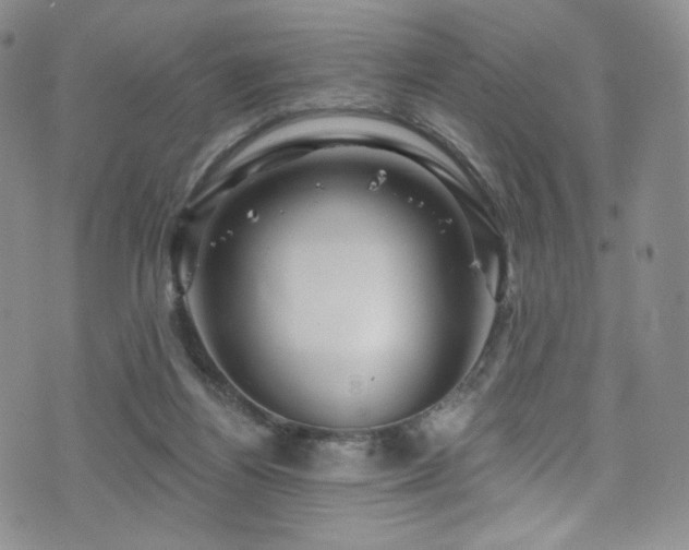 X0000075900164200609151420