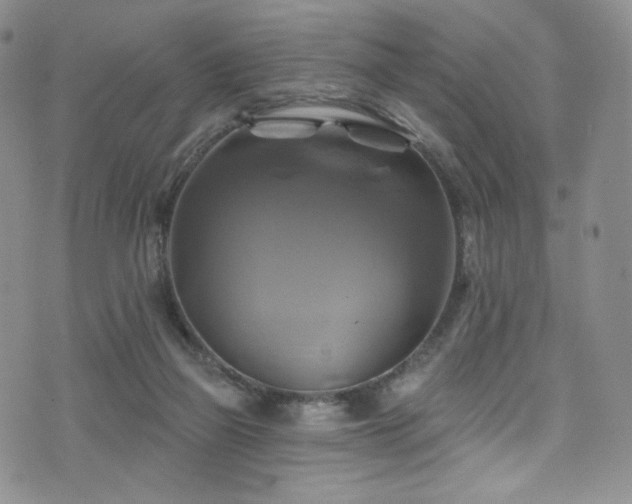 X0000075900165200609151420