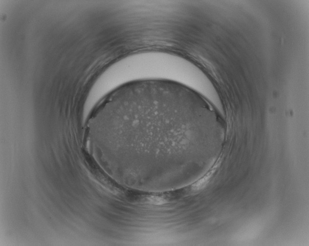 X0000075900166200609151420