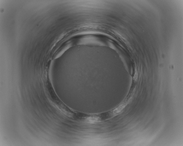 X0000075900168200609151420