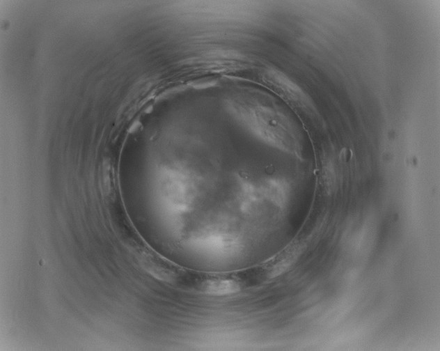 X0000075900169200609151420