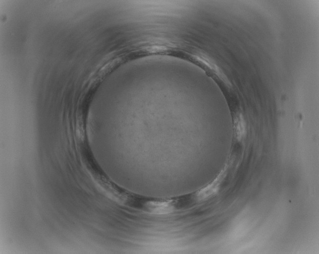 X0000075900170200609151420