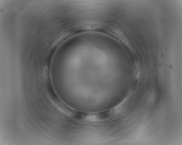 X0000075900171200609151420