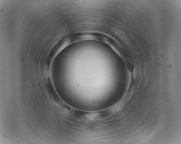 X0000075900172200609151420