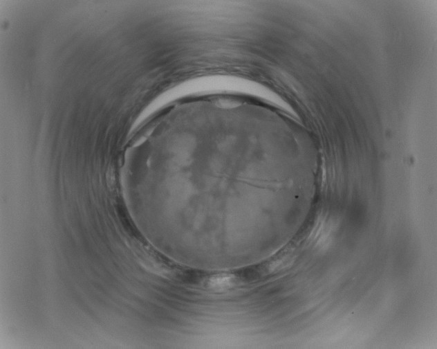 X0000075900173200609151420