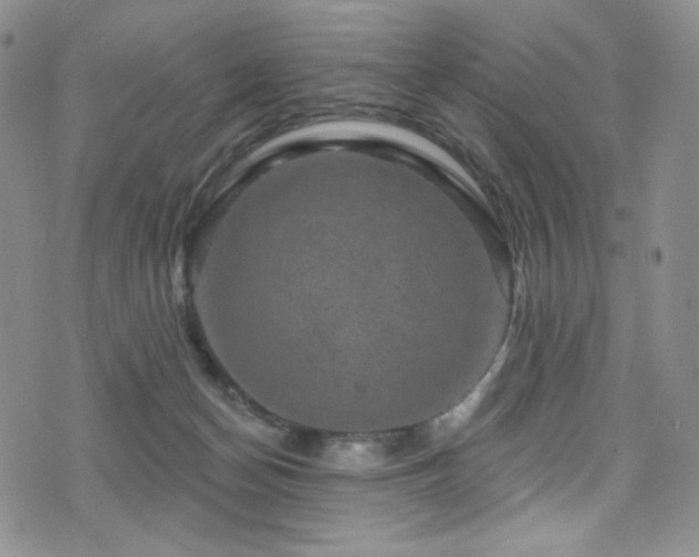 X0000075900174200609151421