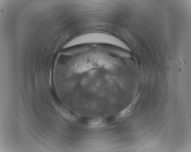 X0000075900175200609151421