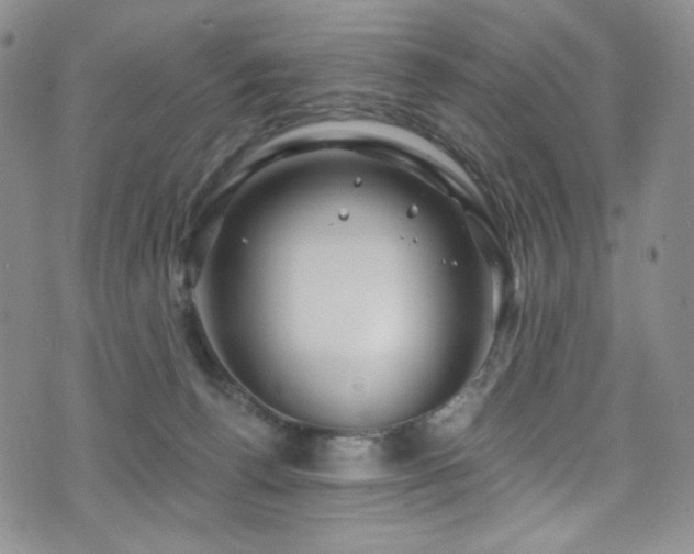 X0000075900176200609151421