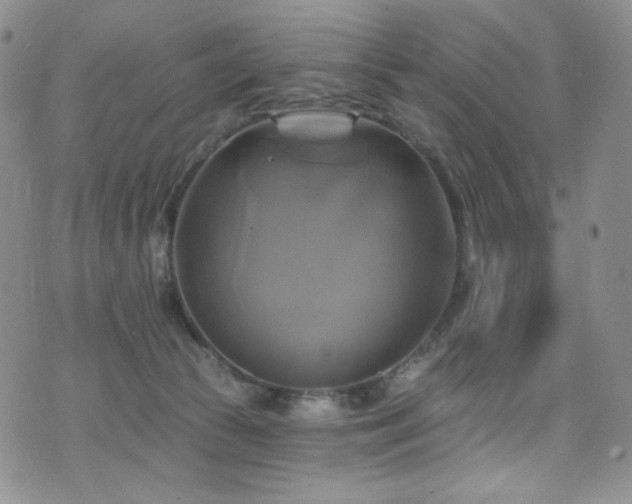 X0000075900177200609151421