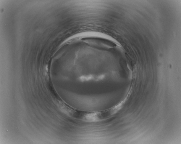 X0000075900178200609151421