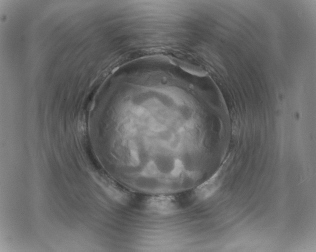 X0000075900179200609151421