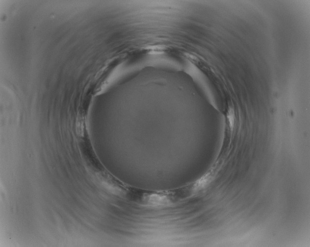 X0000075900180200609151421