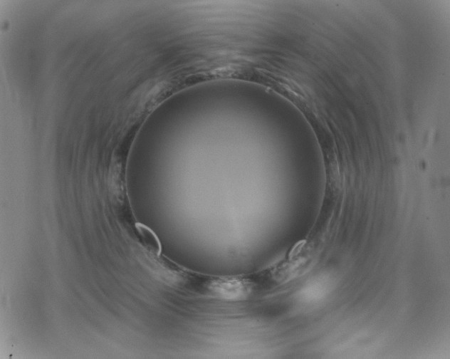 X0000075900181200609151421