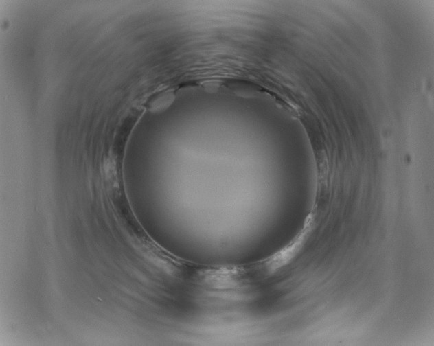 X0000075900182200609151421