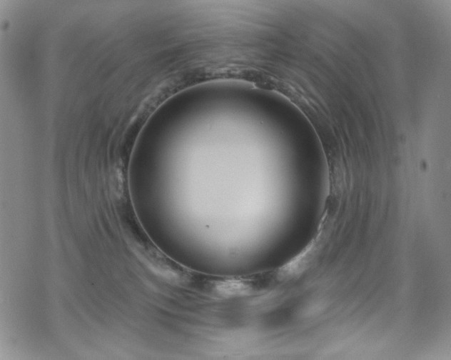 X0000075900183200609151421